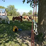 Maison Pour Tribu, Activites Nature Et Animaux Acceptes - Fr-1-497-250 * Les Champeaux