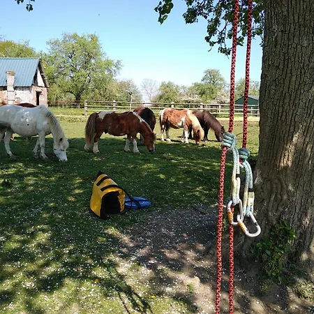 Maison Pour Tribu, Activites Nature Et Animaux Acceptes - Fr-1-497-250 * Les Champeaux