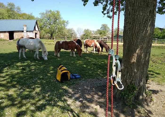 Maison Pour Tribu, Activites Nature Et Animaux Acceptes - Fr-1-497-250 * Les Champeaux